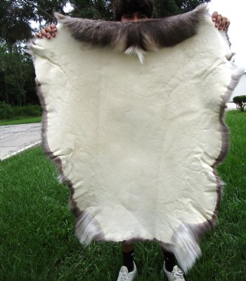 Finland Reindeer Hide, Skin, Without Legs, 43" by 39" with Dark Browns, Tans and Gray Fur - Buy this one for $109.99