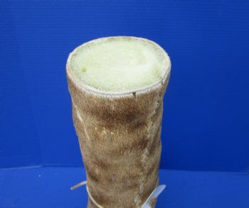 21-7/8 tall Taxidermy Giraffe Foot with Hoof - Buy this one for $94.99