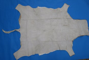 Real African Impala Skin Hide, Antelope Skin, Hide 49 x 38-1/2 inches - Buy this one for  $79.99