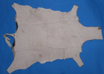 Genuine Impala Skin Hide, Antelope Skin, Hide 50 x 39-1/2 inches - Buy this one for  $79.99