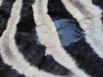 103" x 71" Authentic Zebra Skin Rug with Black Felt Backing, Grade B Quality - Buy this one for $994.99 (SHIPPED UPS SIGNATURE REQUIRED)