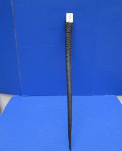 34-1/2 inches Large...