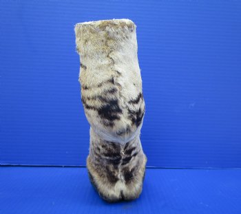 8 inches Genuine Burchelli's Zebra Foot Mount for Sale - Buy this one for $64.99