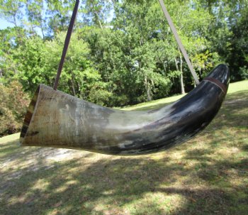 25 inches Extra Large Viking War Horn, Buffalo Blowing Horn with Leather Strap - Buy this one for $39.99