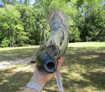 25 inches Extra Large Viking War Horn, Buffalo Blowing Horn with Leather Strap - Buy this one for $39.99