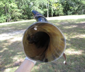 25 inches Extra Large Viking War Horn, Buffalo Blowing Horn with Leather Strap - Buy this one for $39.99