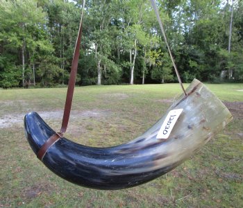24-1/2 inches Extra Large Viking War Horn, Buffalo Blowing Horn with Leather Strap - Buy this one for $39.99