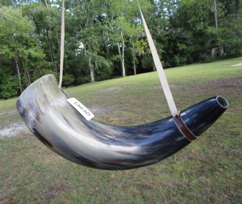 24-1/2 inches Extra Large Viking War Horn, Buffalo Blowing Horn with Leather Strap - Buy this one for $39.99