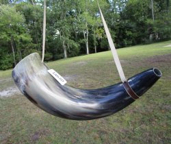 24-1/2 inches Extra Large Viking War Horn, Buffalo Blowing Horn with Leather Strap - Buy this one for $39.99