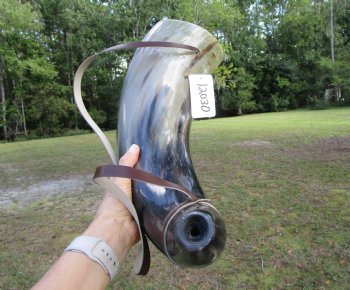 24-1/2 inches Extra Large Viking War Horn, Buffalo Blowing Horn with Leather Strap - Buy this one for $39.99