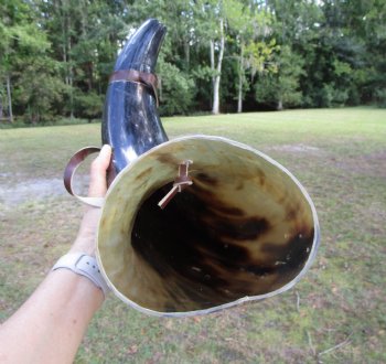 24-1/2 inches Extra Large Viking War Horn, Buffalo Blowing Horn with Leather Strap - Buy this one for $39.99