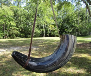 25-3/4 inches Extra Large Viking War Horn, Buffalo Blowing Horn with Leather Strap - Buy this one for $39.99