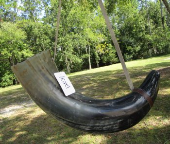 25-3/4 inches Extra Large Viking War Horn, Buffalo Blowing Horn with Leather Strap - Buy this one for $39.99