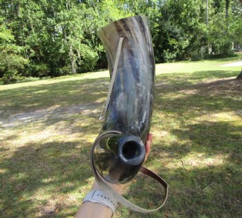25-3/4 inches Extra Large Viking War Horn, Buffalo Blowing Horn with Leather Strap - Buy this one for $39.99