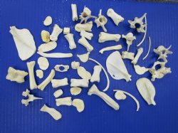 50 Assorted Small A...