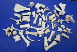 50 Assorted Small A...