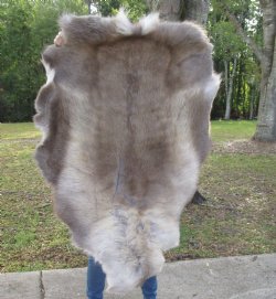 47 by 34 inches Fin...