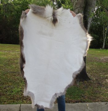 47 by 34 inches Finland Reindeer Hide, Reindeer Fur, Skin Without Legs, Grade B  - Buy this one for $94.99