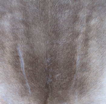 48 by 38 inches Authentic Reindeer Skin, Hide, Fur, Grade B - Buy this one for $94.99