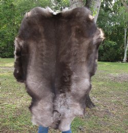 Finland Reindeer Hide, Skin, Without Legs, with Dark Brown, Tan and White Fur, 46" by 34" - Buy this one for $109.99