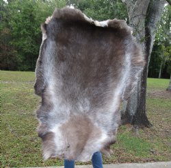 Finland Reindeer Hi...