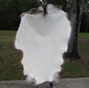 Finland Reindeer Hide, Skin, Without Legs, with Brown, Tan, Gray and White Fur, 47-3/4" by 35" - Buy this one for $109.99