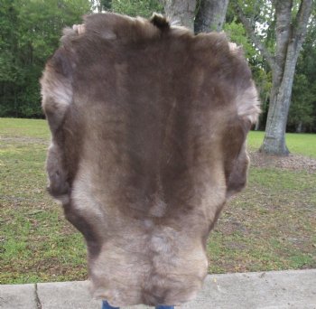 Finland Reindeer Hide, Skin, Without Legs, with Brown, Tan, and Cream Fur, 48"" by 36-1/2" - Buy this one for $109.99