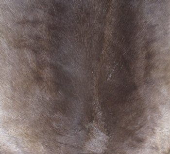 Finland Reindeer Hide, Skin, Without Legs, with Brown, Tan, and Cream Fur, 48"" by 36-1/2" - Buy this one for $109.99