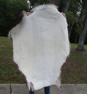 Finland Reindeer Hide, Skin, Without Legs, with Brown, Tan, and Cream Fur, 48"" by 36-1/2" - Buy this one for $109.99