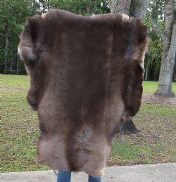 Finland Reindeer Hi...