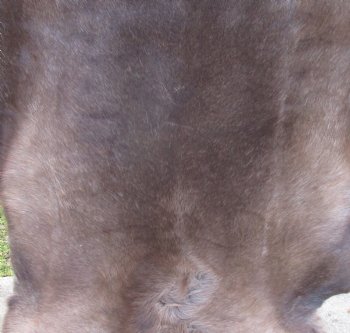 Finland Reindeer Hide, Skin, Without Legs, with Brown, Tan, and Cream Fur, 47" by 39-1/2" - Buy this one for $109.99