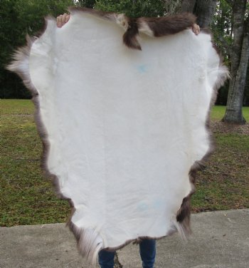 Finland Reindeer Hide, Skin, Without Legs, with Brown, Tan, and Cream Fur, 47" by 39-1/2" - Buy this one for $109.99