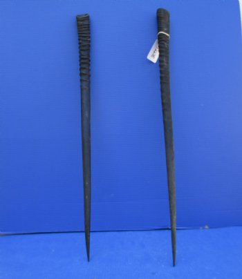 2 African Gemsbok Horns, Oryx Hons for Sale 32-3/4 and 33 inches long - Buy these for $30.00 each