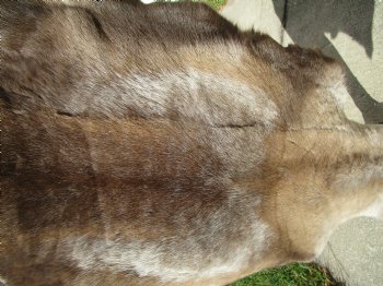46 by 36 inches Finland Reindeer Hide, Skin, Fur, Without Legs, Grade B  - Buy this one for $94.99