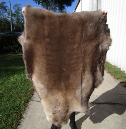 47 by 36 inches Finland Reindeer Hide, Skin, Fur, Without Legs, Grade B  - Buy this one for $94.99