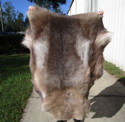 45 by 34 inches Finland Reindeer Hide, Skin, Fur, Without Legs, Grade B  - Buy this one for $94.99