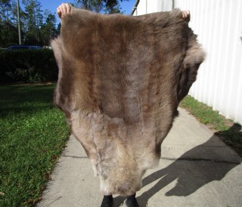 48 by 35 inches Finland Reindeer Hide, Skin, Fur, Without Legs, Grade B  - Buy this one for $94.99