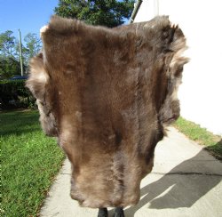 Finland Reindeer Hide, Skin, Without Legs, with Brown, Tan, Gray and White Fur, 47 by 36 inches - Buy this one for $109.99