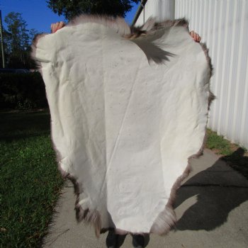 Finland Reindeer Hide, Skin, Without Legs, with Brown, Tan, Gray and White Fur, 47 by 36 inches - Buy this one for $109.99