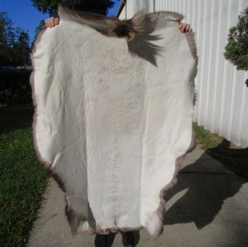 Finland Reindeer Hide, Skin, Without Legs, with Deep Brown and Tan Fur, 47 by 35 inches - Buy this one for $109.99