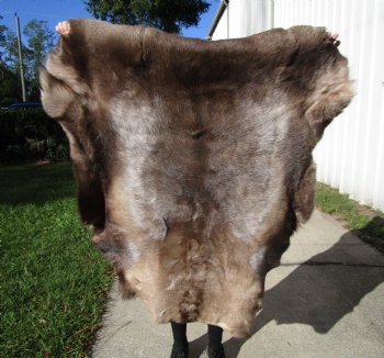 Finland Reindeer Hide, Skin, Without Legs, with Brown, Tan, Gray and White Fur, 44 by 41 inches - Buy this one for $109.99