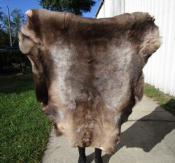 Finland Reindeer Hide, Skin, Without Legs, with Brown, Tan, Gray and White Fur, 44 by 41 inches - Buy this one for $109.99