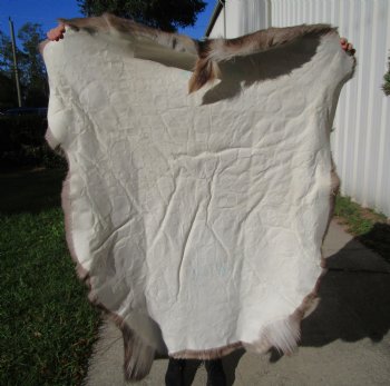 Finland Reindeer Hide, Skin, Without Legs, with Brown, Tan, Gray and White Fur, 44 by 41 inches - Buy this one for $109.99