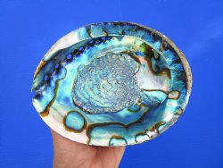 Large Blue Green Ab...