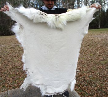 Finland Reindeer Hide, Skin, Fur with Blend of Tans, Brown, White, 46 by 43 inches for $144.99