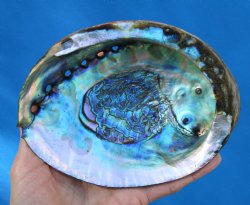 Large Blue Green Ab...