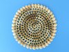 8 inches Round Wicker Open Weaved Placemats with Ringtop Cowrie Border for Beach Themed Table Settings - Packed  6 @ 2.55 each