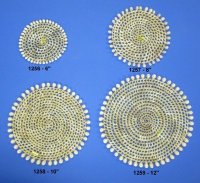 8 inches Round Wicker with Cowrie Shells Placemats <font color=red> Wholesale</font>  - Case of 96 @ $2.16 each