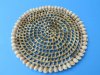 10 inches Round Open Weaved Wicker Placemats Trimmed with Ringtop Cowrie Shells for a Beach Themed Table Setting - Packed 6 @ $4.00 each