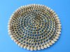 10 inches <font color=red> Wholesale</font> Round Wicker and Cowrie Shell Placemats in Bulk - Pack of 36 @ $2.50 each